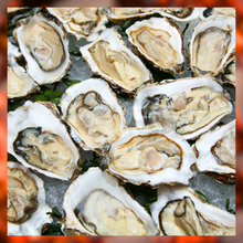 Load image into Gallery viewer, Virginia Shelled Oysters