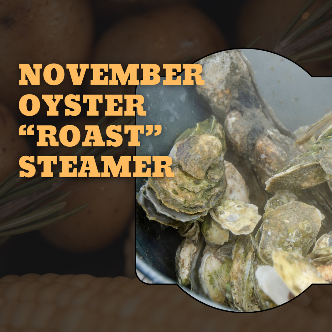 November Oyster 