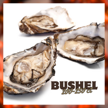 Load image into Gallery viewer, Thanksgiving Oysters
