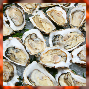 Virginia Shelled Oysters
